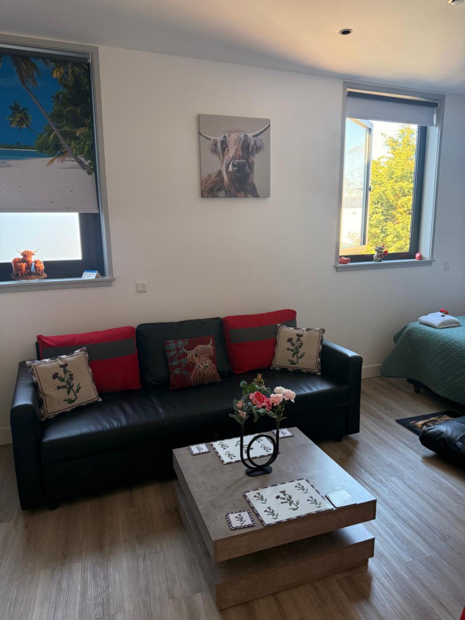 Scottish Thistle Appartement Zandvoort